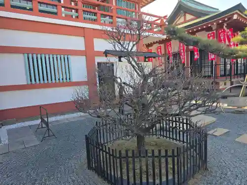 妙国寺(大阪府)