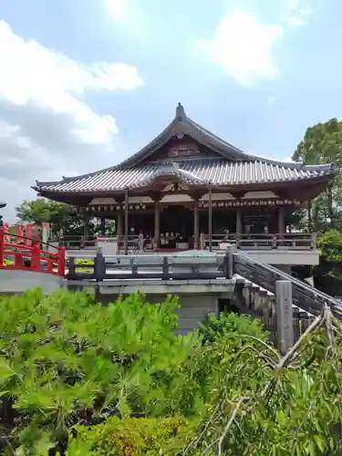 観音山慈眼院（高崎観音）(群馬県)