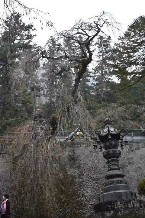 妙義神社のその他建物