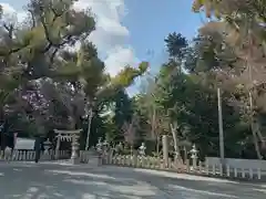 曽禰神社(大阪府)