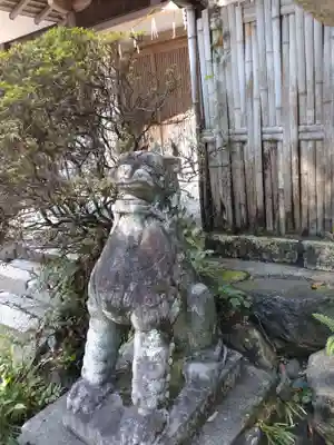 宇治神社の狛犬