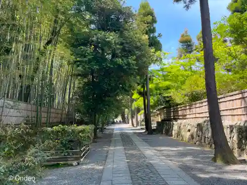 大徳寺(京都府)