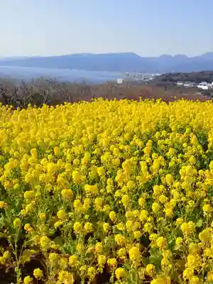 吾妻神社の御朱印