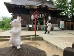 麻賀多神社(千葉県)