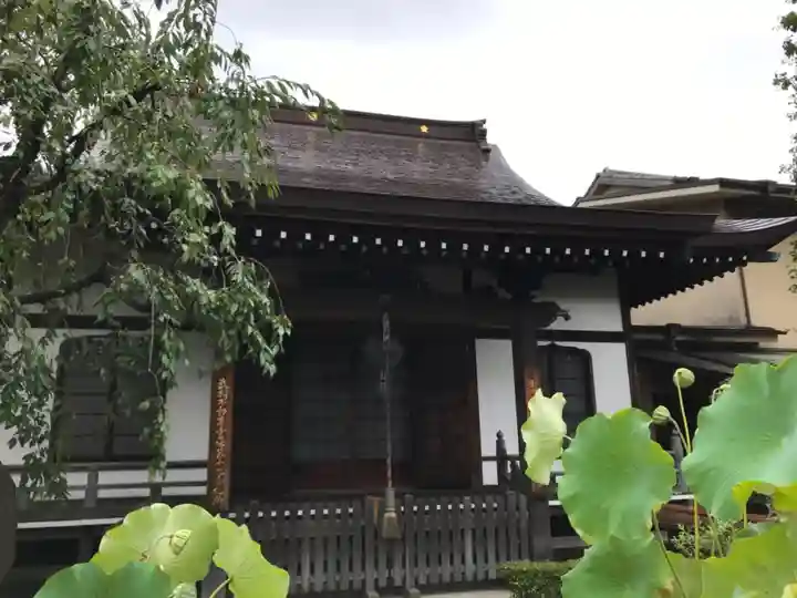 正泉寺の本殿・本堂