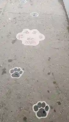 達磨寺の{uncategorized: "未分類", other: "その他", undefined: "問題あり", building: "その他建物", grave: "お墓", sacred_gate: "鳥居", guardian: "狛犬", statue: "像", buddha: "仏像", history: "歴史", nature: "自然", garden: "庭園", animal: "動物", pagoda: "塔", temizu: "手水舎", mountain_gate: "山門・神門", sanctuary: "本殿・本堂", subordinate: "末社・摂社", art: "芸術", scenery: "景色", jizo: "地蔵", ema: "絵馬", goshuin: "御朱印", omikuji: "おみくじ", items: "授与品その他", amulet: "お守り", goshuincho: "御朱印帳", eats: "食事", festival: "お祭り", votive_dance: "神楽", shichigosan: "七五三参", wedding: "結婚式", experience: "体験その他", initially: "初詣", around: "周辺", anti_infection: "感染症対策"}