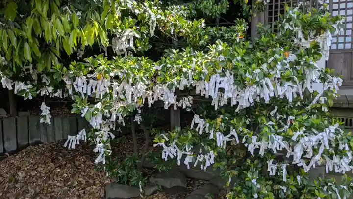 大浦諏訪神社のおみくじ