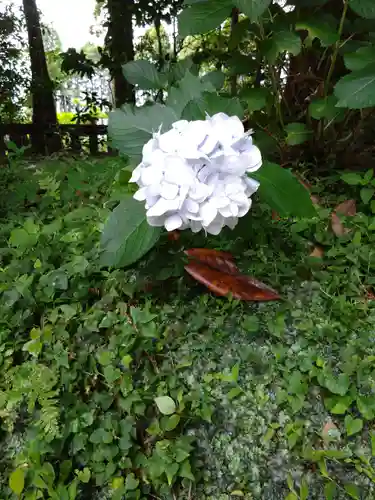 狭野神社(宮崎県)