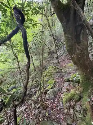 聖神社(高知県)