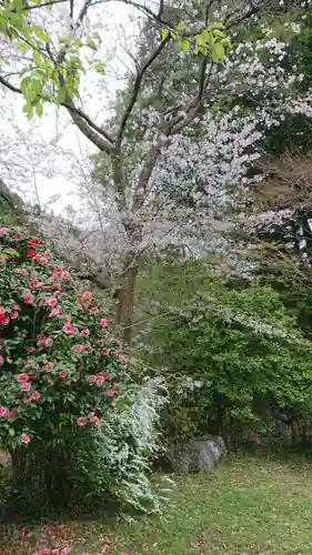 青渭神社里宮の自然