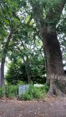 白髭神社(静岡県)