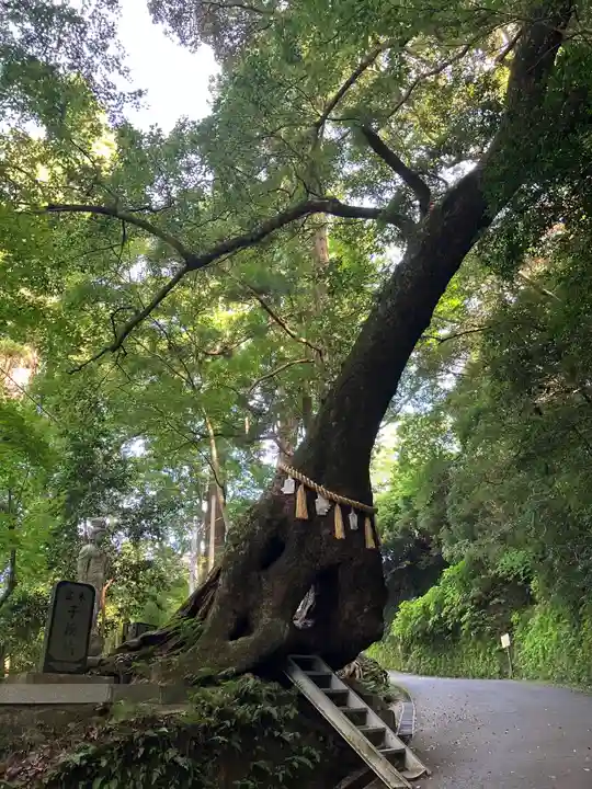 笠森寺(千葉県)