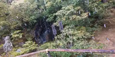鹿苑寺(金閣寺)(京都府)