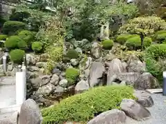 岡寺（龍蓋寺）(奈良県)