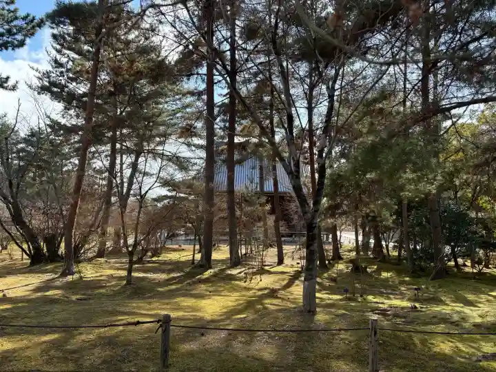 仁和寺の{uncategorized: "未分類", other: "その他", undefined: "問題あり", building: "その他建物", grave: "お墓", sacred_gate: "鳥居", guardian: "狛犬", statue: "像", buddha: "仏像", history: "歴史", nature: "自然", garden: "庭園", animal: "動物", pagoda: "塔", temizu: "手水舎", mountain_gate: "山門・神門", sanctuary: "本殿・本堂", subordinate: "末社・摂社", art: "芸術", scenery: "景色", jizo: "地蔵", ema: "絵馬", goshuin: "御朱印", omikuji: "おみくじ", items: "授与品その他", amulet: "お守り", goshuincho: "御朱印帳", eats: "食事", festival: "お祭り", votive_dance: "神楽", shichigosan: "七五三参", wedding: "結婚式", experience: "体験その他", initially: "初詣", around: "周辺", anti_infection: "感染症対策"}
