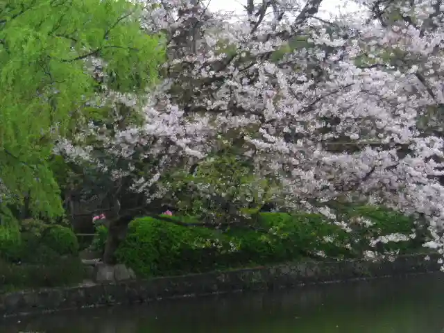鶴岡八幡宮の庭園
