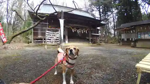 磐椅神社の自然