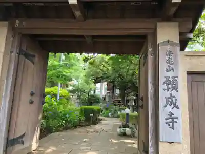 願成寺の山門・神門