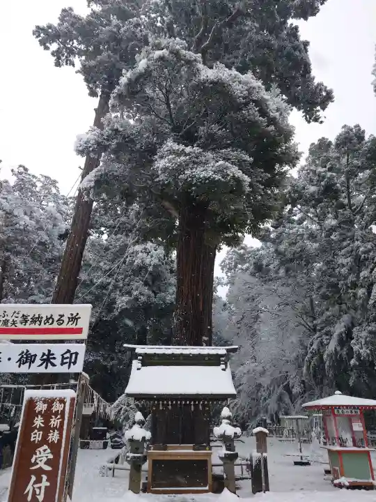 鹿島神宮の{uncategorized: "未分類", other: "その他", undefined: "問題あり", building: "その他建物", grave: "お墓", sacred_gate: "鳥居", guardian: "狛犬", statue: "像", buddha: "仏像", history: "歴史", nature: "自然", garden: "庭園", animal: "動物", pagoda: "塔", temizu: "手水舎", mountain_gate: "山門・神門", sanctuary: "本殿・本堂", subordinate: "末社・摂社", art: "芸術", scenery: "景色", jizo: "地蔵", ema: "絵馬", goshuin: "御朱印", omikuji: "おみくじ", items: "授与品その他", amulet: "お守り", goshuincho: "御朱印帳", eats: "食事", festival: "お祭り", votive_dance: "神楽", shichigosan: "七五三参", wedding: "結婚式", experience: "体験その他", initially: "初詣", around: "周辺", anti_infection: "感染症対策"}
