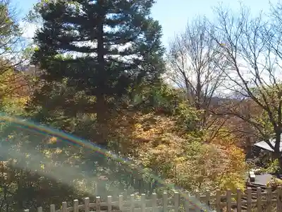 戸隠神社奥社(長野県)