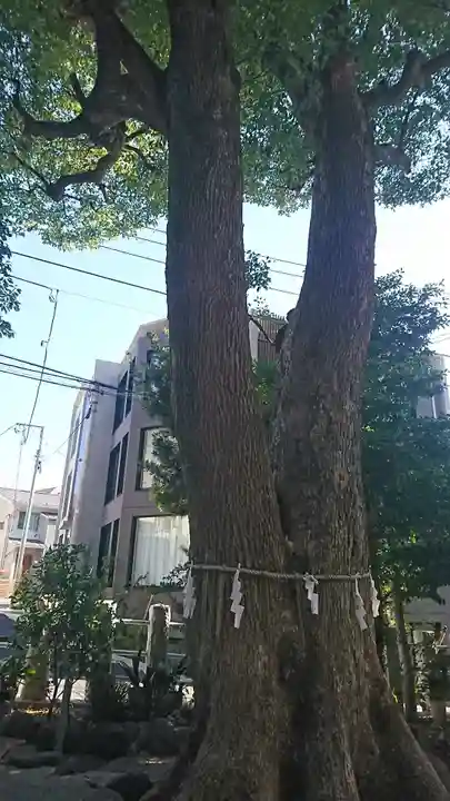 多田神社の自然