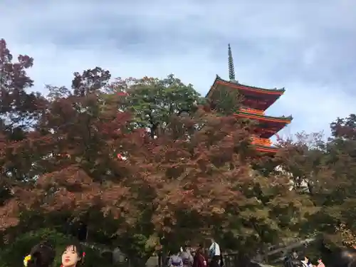 清水寺の塔