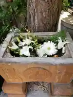 菊名神社の手水舎