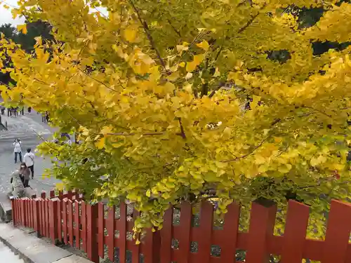 鶴岡八幡宮(神奈川県)