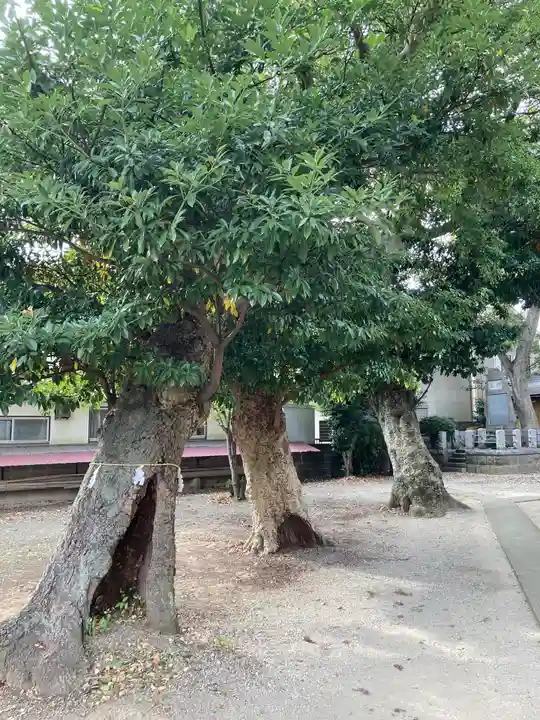 松尾大神(神奈川県)