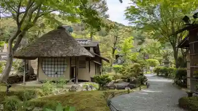 高台寺（高台寿聖禅寺・高臺寺）(京都府)