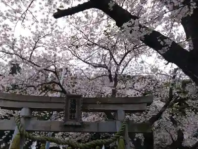 津久井浅間神社(神奈川県)