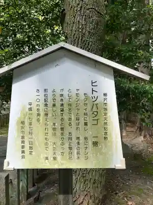皇大明神社(中牧)(愛知県)