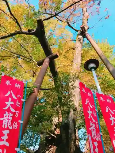 秩父今宮神社のその他建物