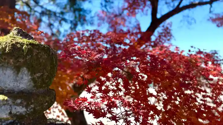 加佐美神社(岐阜県)