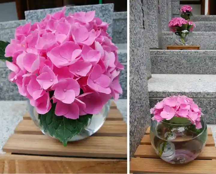 新琴似神社の庭園