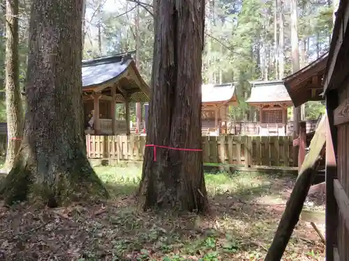 小野神社の本殿