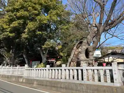 比々多神社(神奈川県)