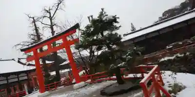賀茂御祖神社(下鴨神社)の鳥居