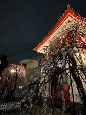 成願寺(東京都)