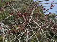 熊野神社(茨城県)