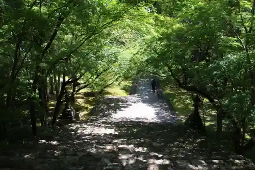 竹林寺の景色