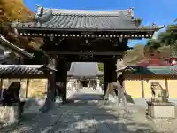 瀧安寺の{uncategorized: "未分類", other: "その他", undefined: "問題あり", building: "その他建物", grave: "お墓", sacred_gate: "鳥居", guardian: "狛犬", statue: "像", buddha: "仏像", history: "歴史", nature: "自然", garden: "庭園", animal: "動物", pagoda: "塔", temizu: "手水舎", mountain_gate: "山門・神門", sanctuary: "本殿・本堂", subordinate: "末社・摂社", art: "芸術", scenery: "景色", jizo: "地蔵", ema: "絵馬", goshuin: "御朱印", omikuji: "おみくじ", items: "授与品その他", amulet: "お守り", goshuincho: "御朱印帳", eats: "食事", festival: "お祭り", votive_dance: "神楽", shichigosan: "七五三参", wedding: "結婚式", experience: "体験その他", initially: "初詣", around: "周辺", anti_infection: "感染症対策"}