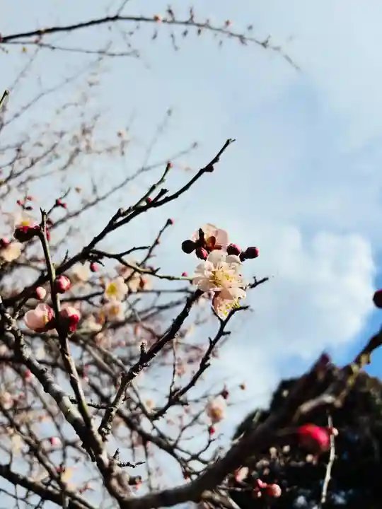 二兒神社(福岡県)