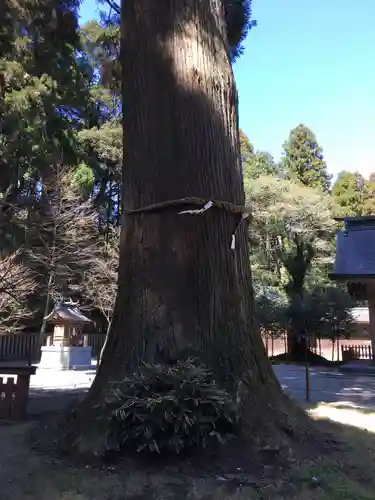 狭野神社の自然