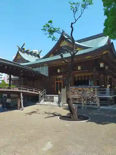 湯島天満宮(東京都)