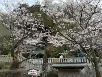 太宰府天満宮の{uncategorized: "未分類", other: "その他", undefined: "問題あり", building: "その他建物", grave: "お墓", sacred_gate: "鳥居", guardian: "狛犬", statue: "像", buddha: "仏像", history: "歴史", nature: "自然", garden: "庭園", animal: "動物", pagoda: "塔", temizu: "手水舎", mountain_gate: "山門・神門", sanctuary: "本殿・本堂", subordinate: "末社・摂社", art: "芸術", scenery: "景色", jizo: "地蔵", ema: "絵馬", goshuin: "御朱印", omikuji: "おみくじ", items: "授与品その他", amulet: "お守り", goshuincho: "御朱印帳", eats: "食事", festival: "お祭り", votive_dance: "神楽", shichigosan: "七五三参", wedding: "結婚式", experience: "体験その他", initially: "初詣", around: "周辺", anti_infection: "感染症対策"}