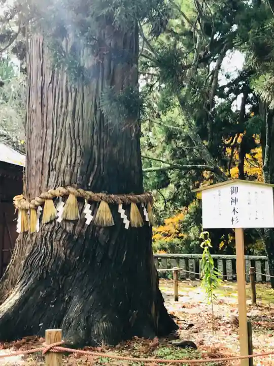 志波彦神社・鹽竈神社の自然