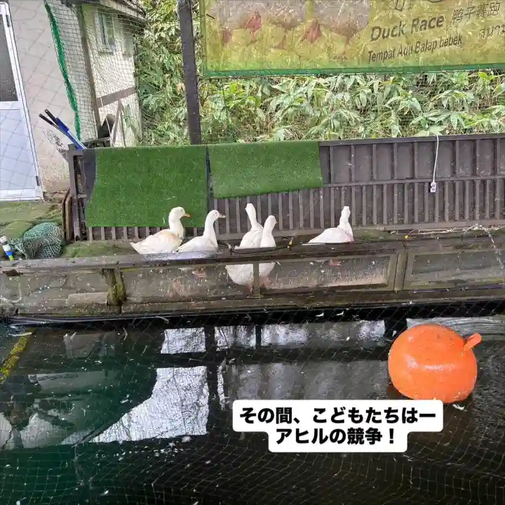 成田山瀧泉寺(北海道)