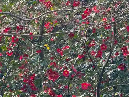 高麗神社(埼玉県)