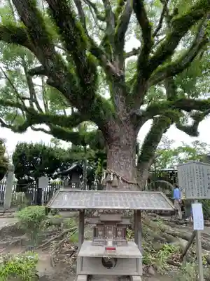 赤穂大石神社(兵庫県)